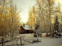Winter Scenes